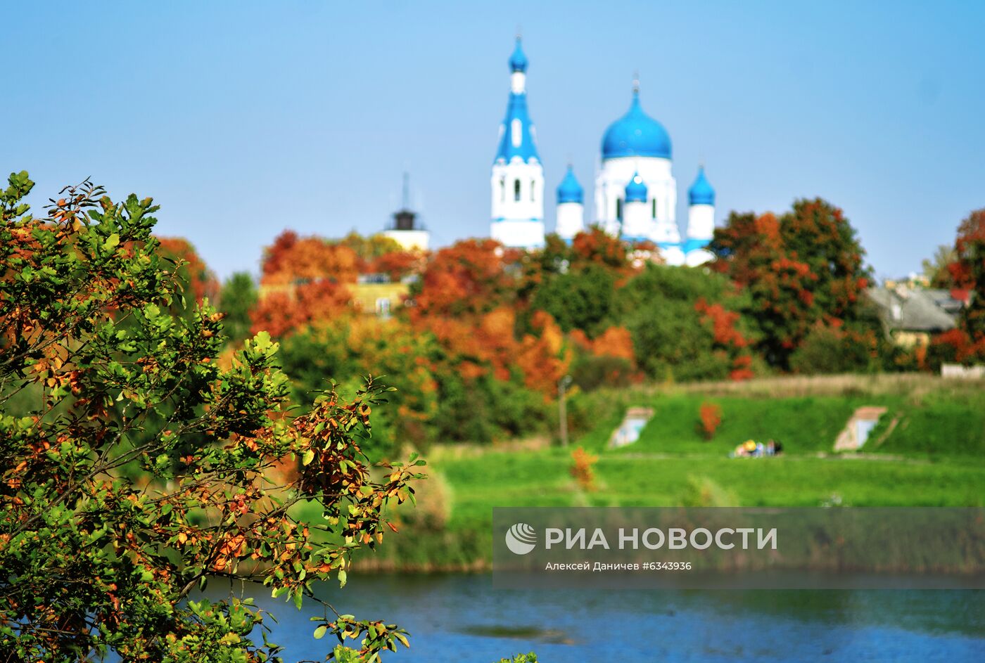 Золотая осень в Ленинградской области