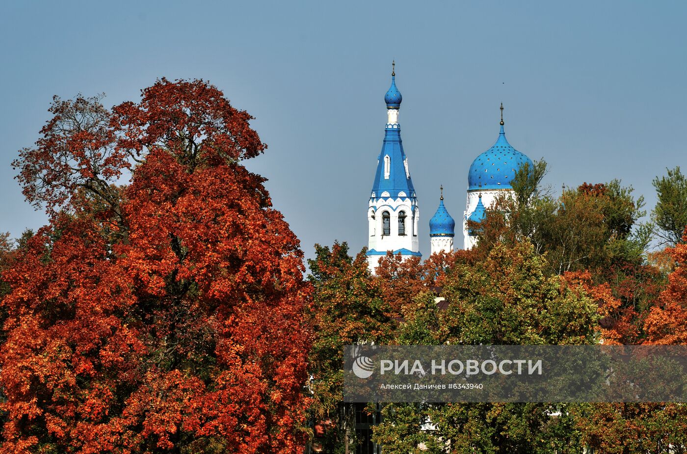 Золотая осень в Ленинградской области