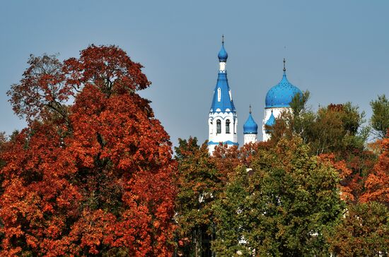 Золотая осень в Ленинградской области