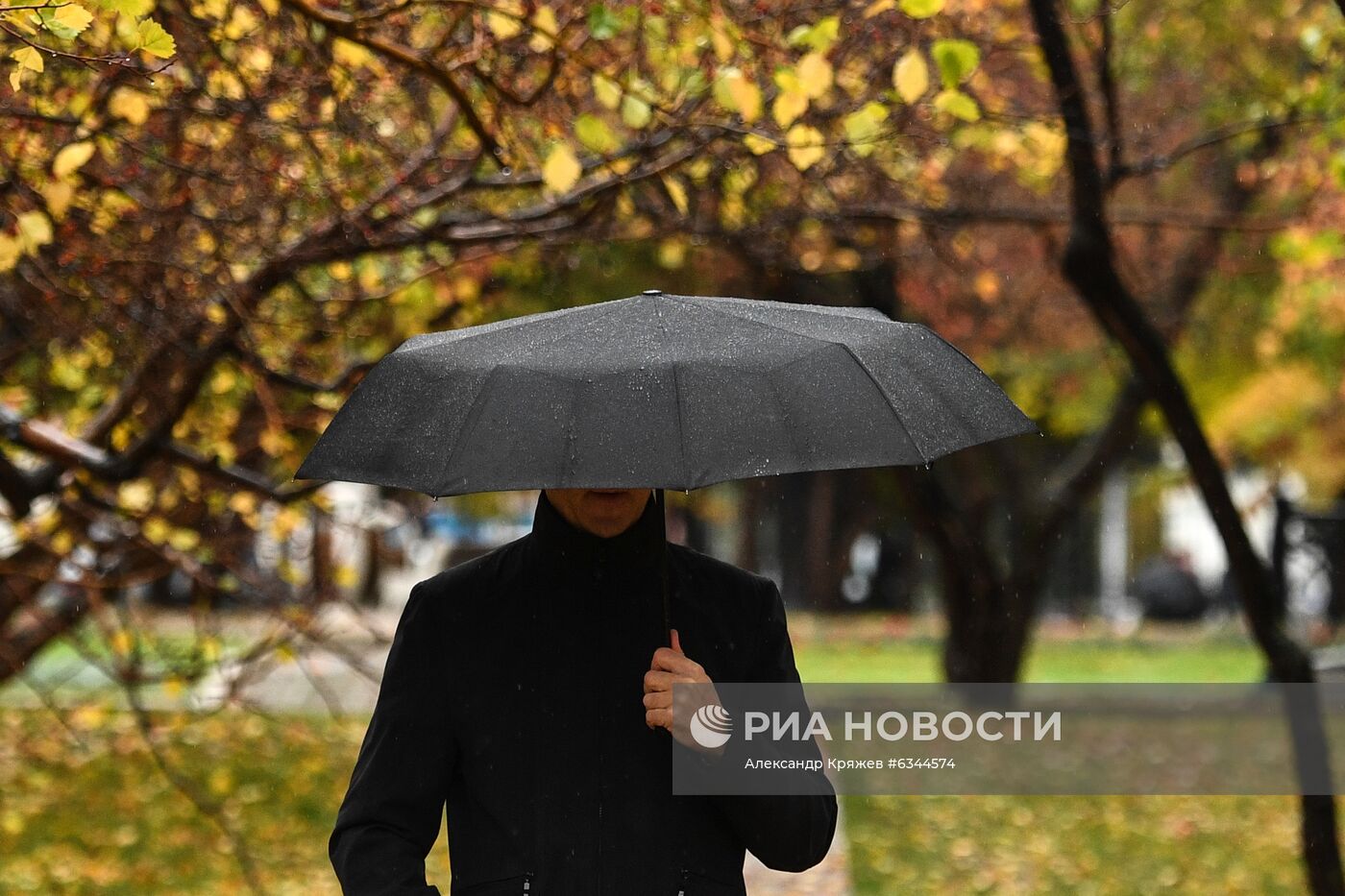 Осень в Новосибирске
