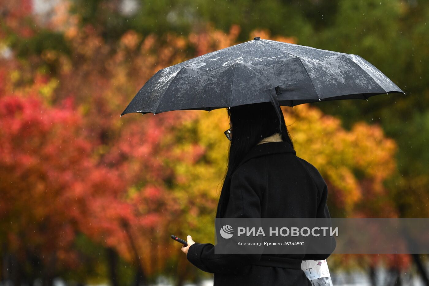 Осень в Новосибирске