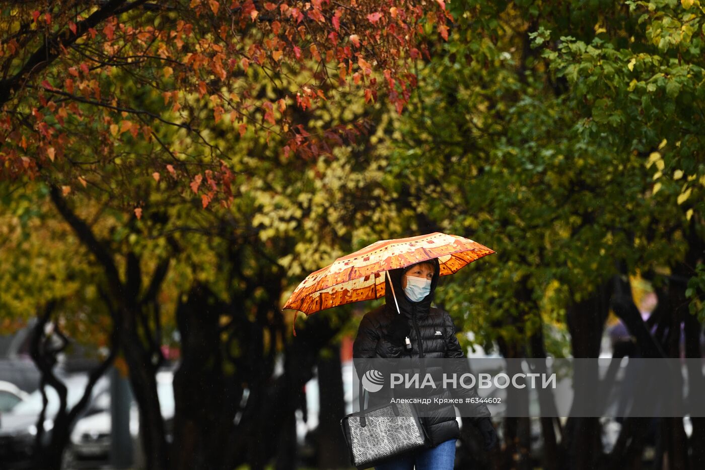 Осень в Новосибирске