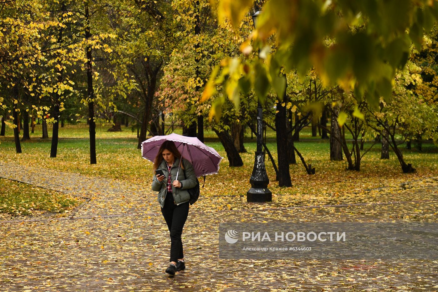 Осень в Новосибирске