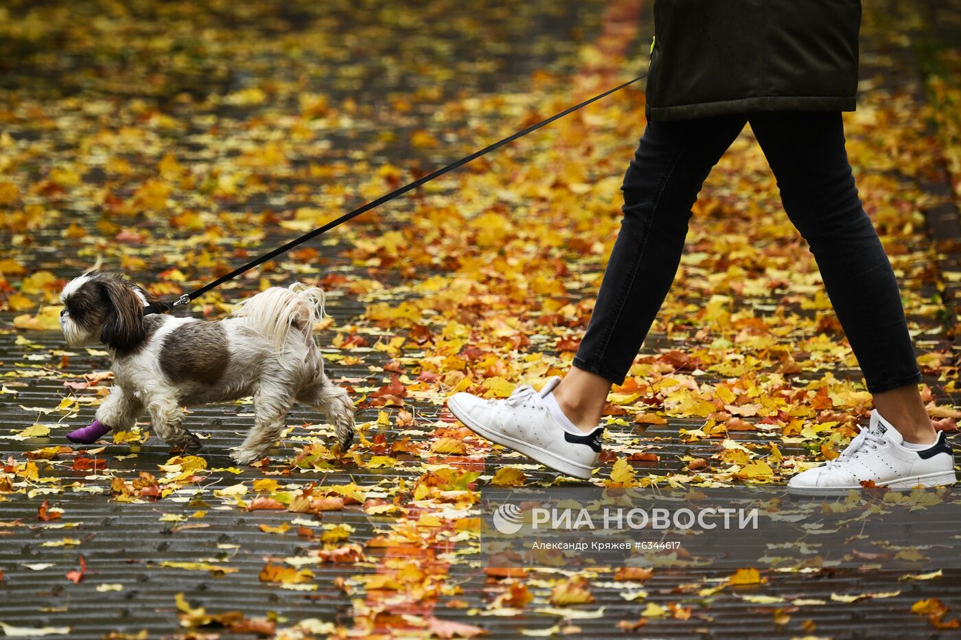 Осень в Новосибирске