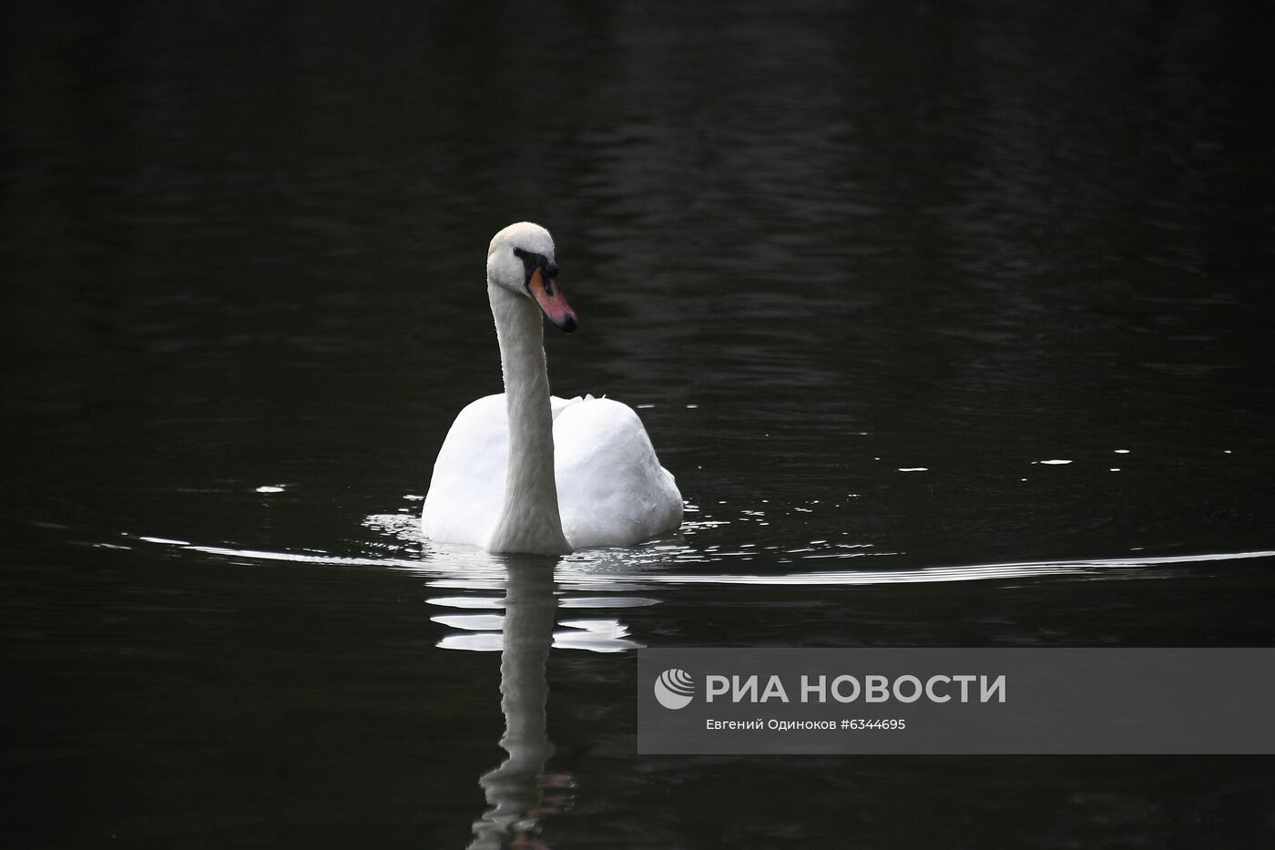 Теплая осенняя погода в Москве