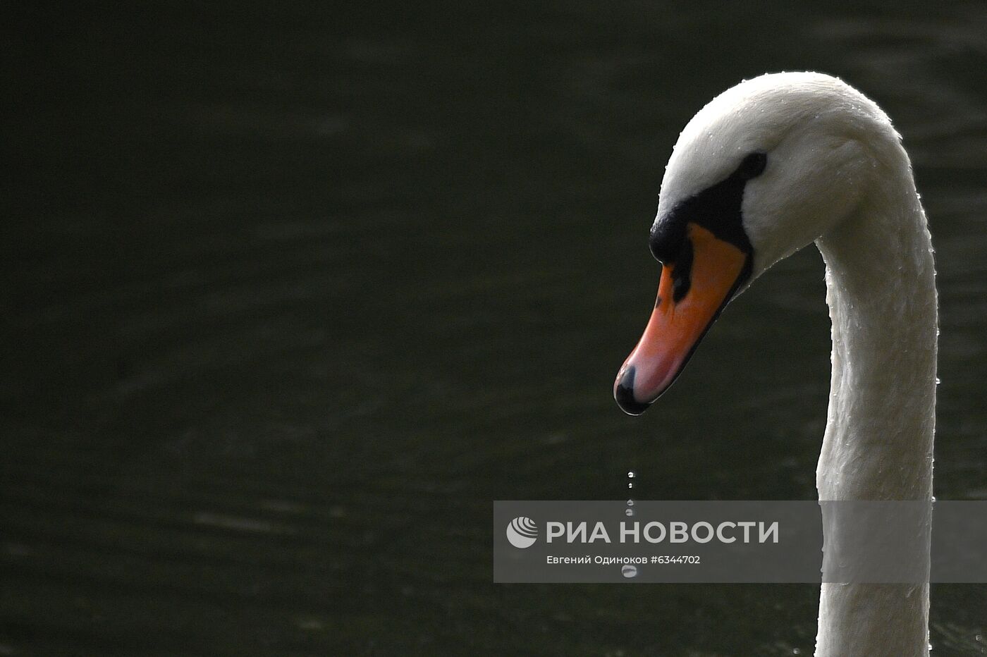 Теплая осенняя погода в Москве