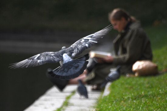 Теплая осенняя погода в Москве
