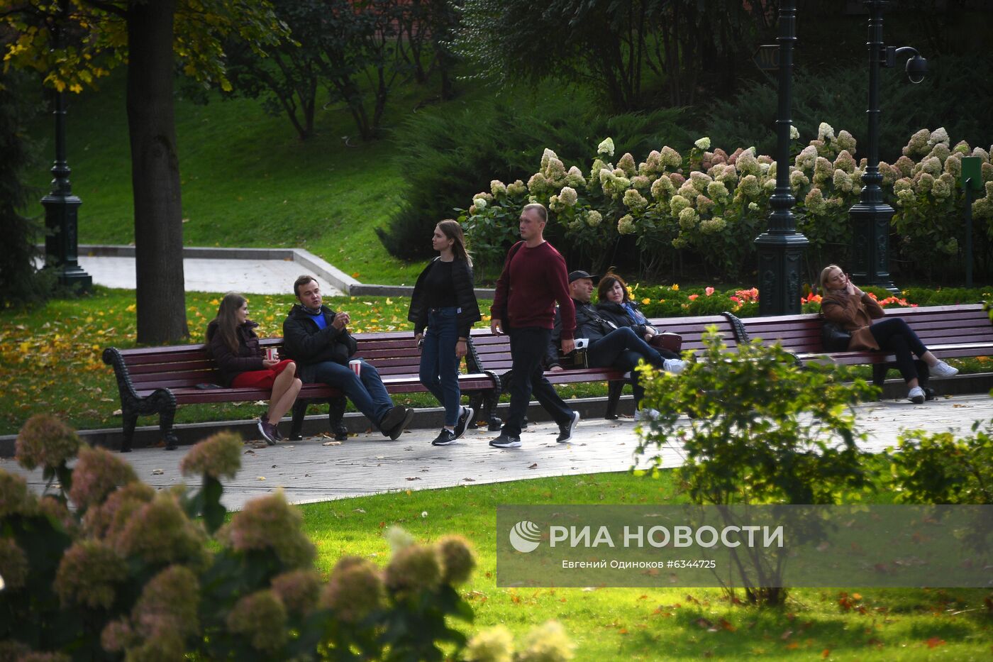 Скамейка на патриарших прудах