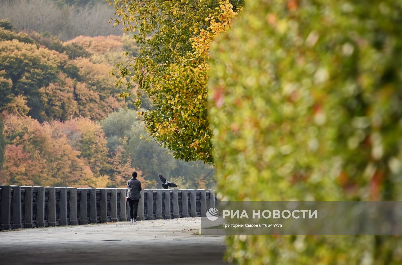 Теплая осенняя погода в Москве