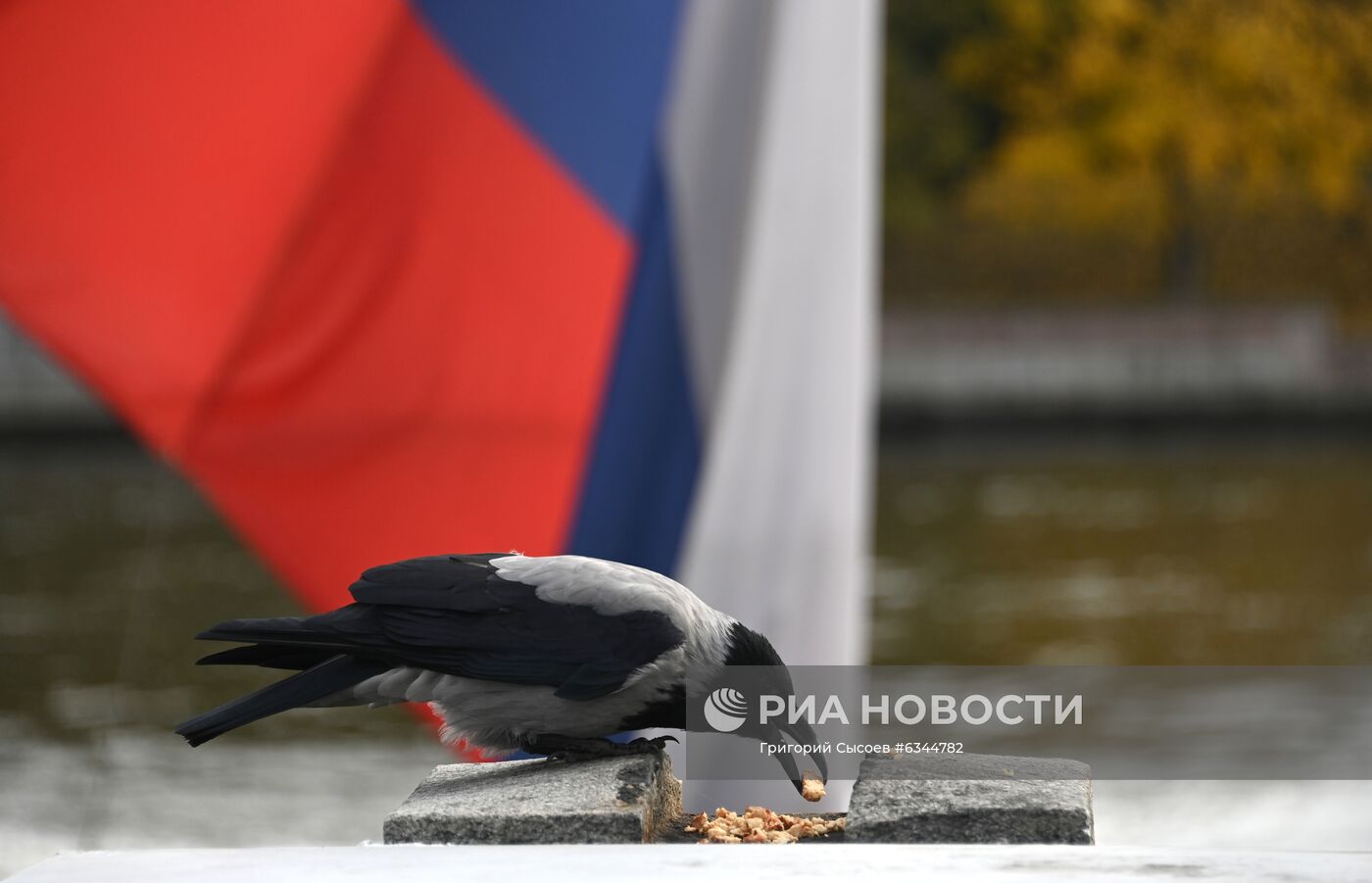 Теплая осенняя погода в Москве