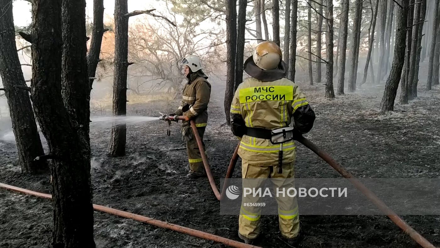 Природные пожары в Ростовской области