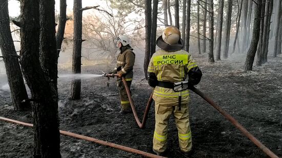 Природные пожары в Ростовской области