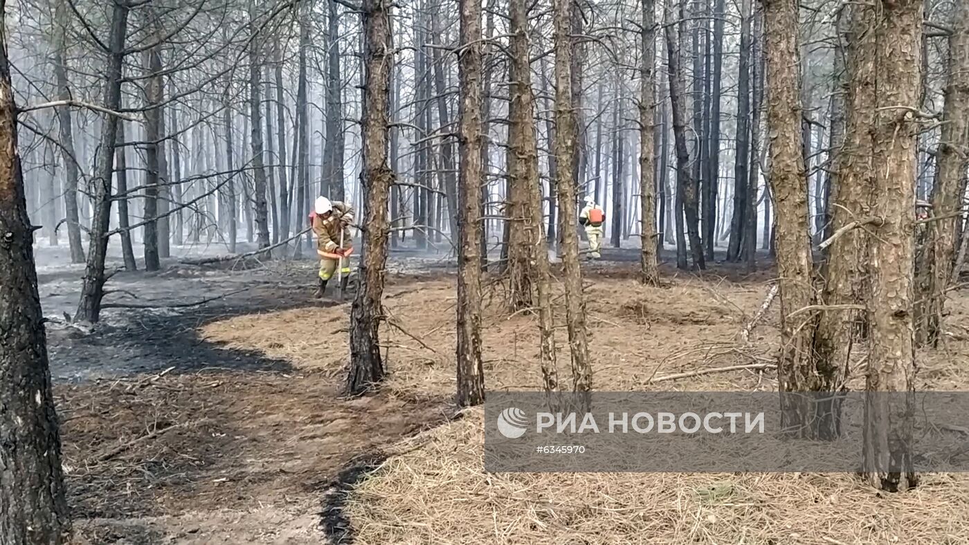 Природные пожары в Ростовской области