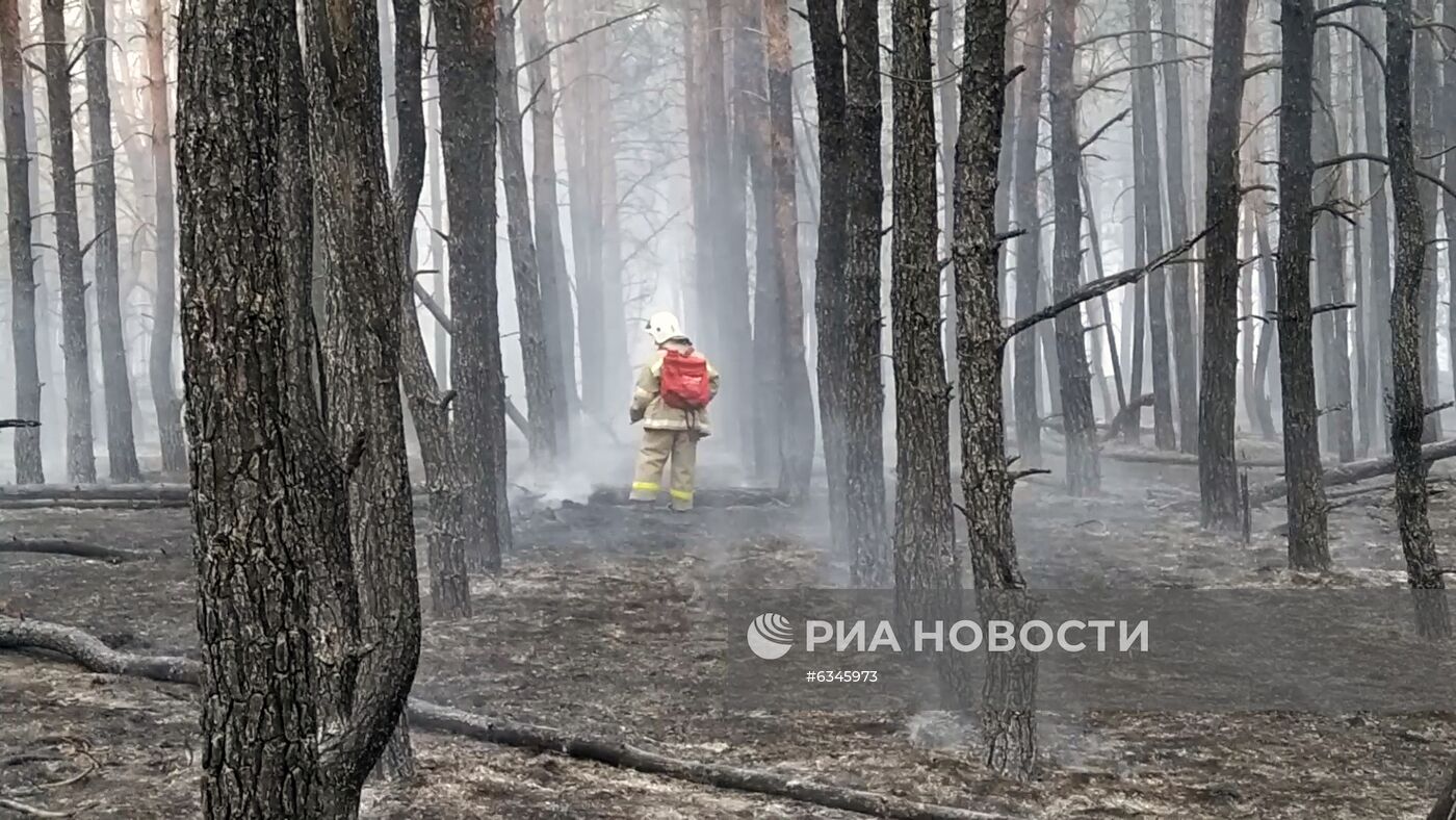 Природные пожары в Ростовской области