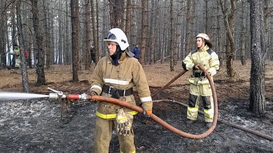 Природные пожары в Ростовской области