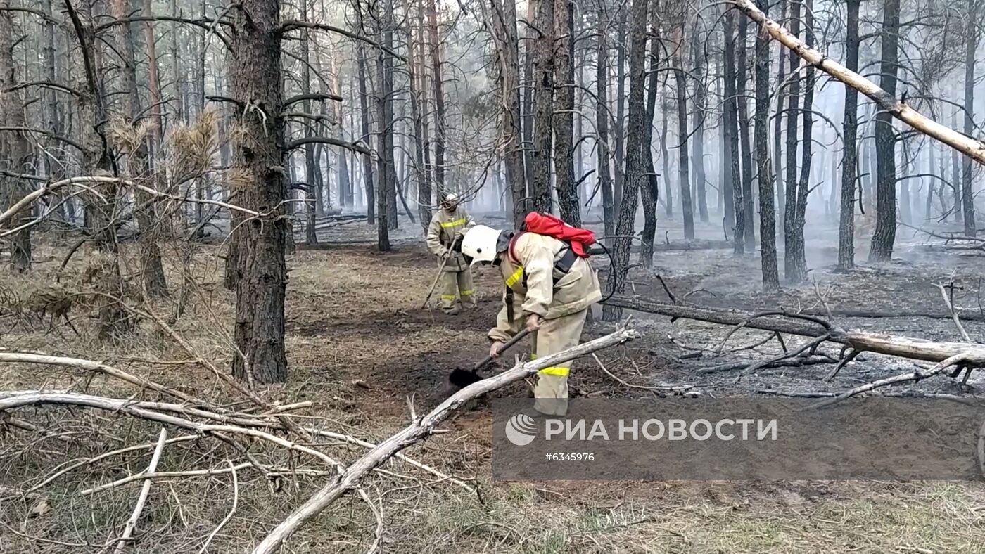 Природные пожары в Ростовской области