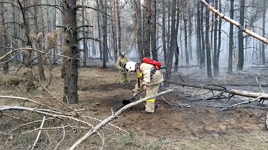 Природные пожары в Ростовской области