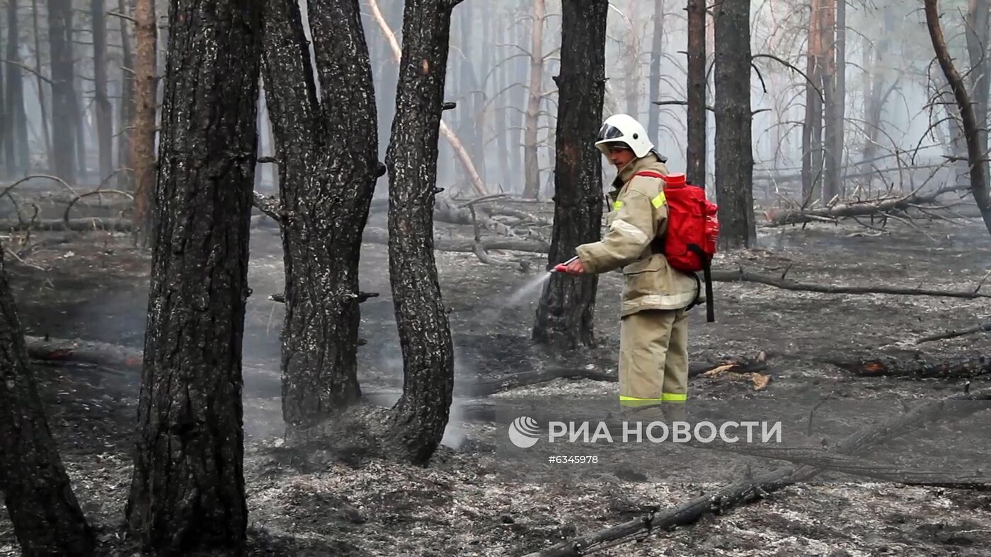 Природные пожары в Ростовской области