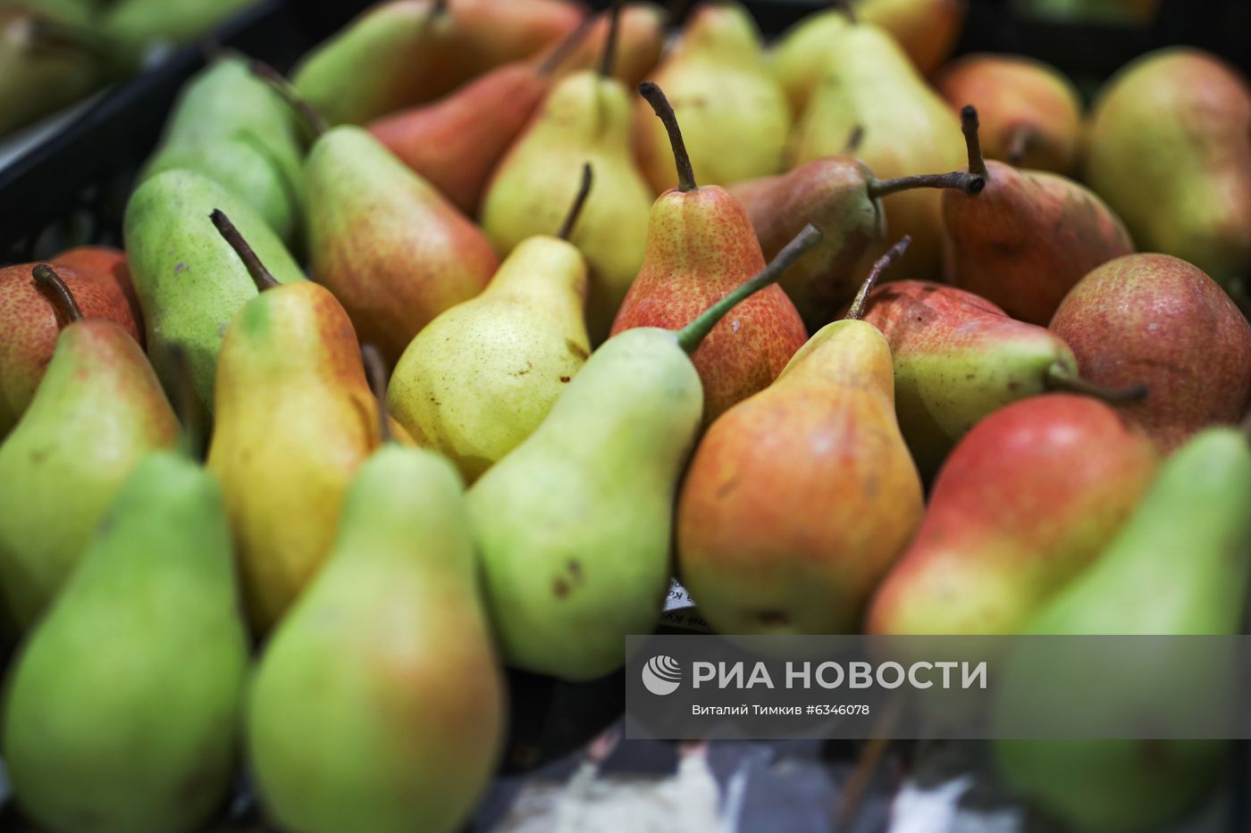 Агропромышленная выставка "Кубанская ярмарка-2020" 
