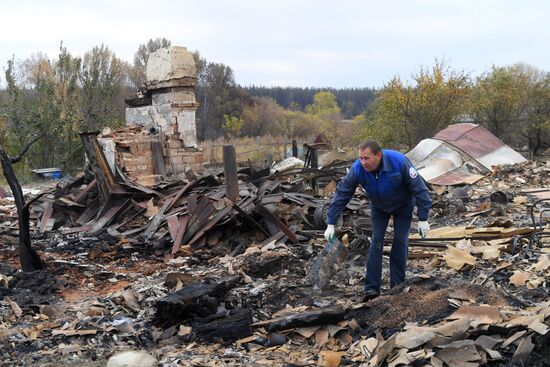 Последствия пожаров в Воронежской области