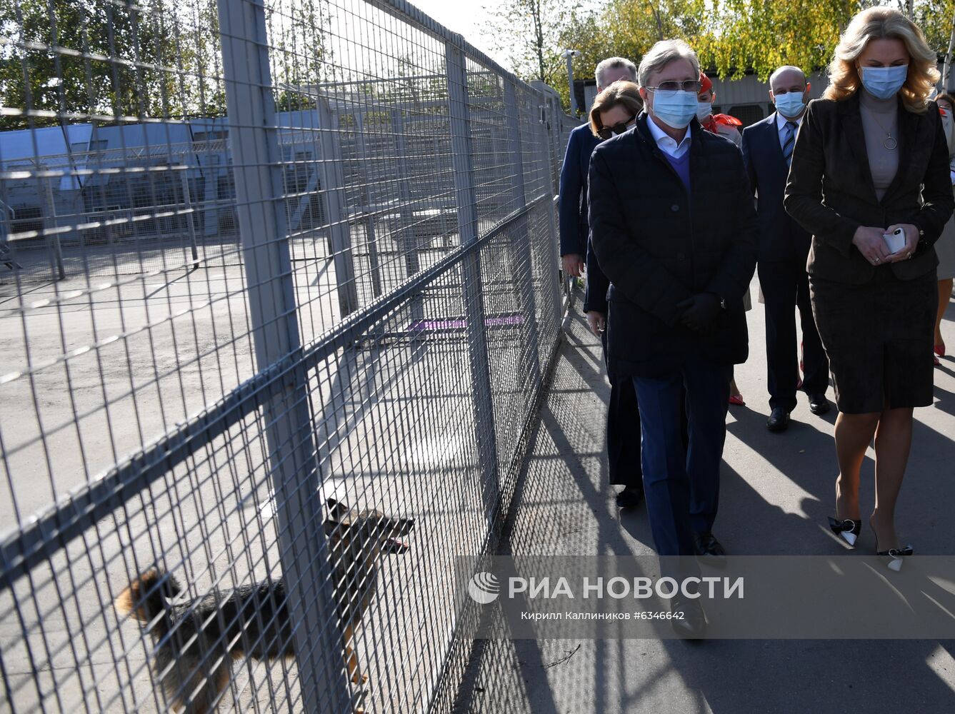 Генеральный директор ПАО "Аэрофлот" Виталий Савельев и заместитель председателя правительства РФ Татьяна Голикова (слева направо на первом плане) во время посещения кинологического подразделения авиакомпании "Аэрофлот" в аэропорту Шереметьево, где приступили к тренировке служебных собак породы шалайка (гибрид шакала и лайки) по выявлению коронавирусной инфекции у человека. Ученые разработали параметры инактивации коронавируса в пробах от больных радиологическим методом, чтобы максимально сохранить запах биопроб, сделав сам материал безопасным. Сейчас на этих образцах и тренируют служебных собак. Место: Россия, Москва. Автор: Кирилл Каллиников/РИА Новости. Тренировка служебных собак по выявлению новой коронавирусной инфекции