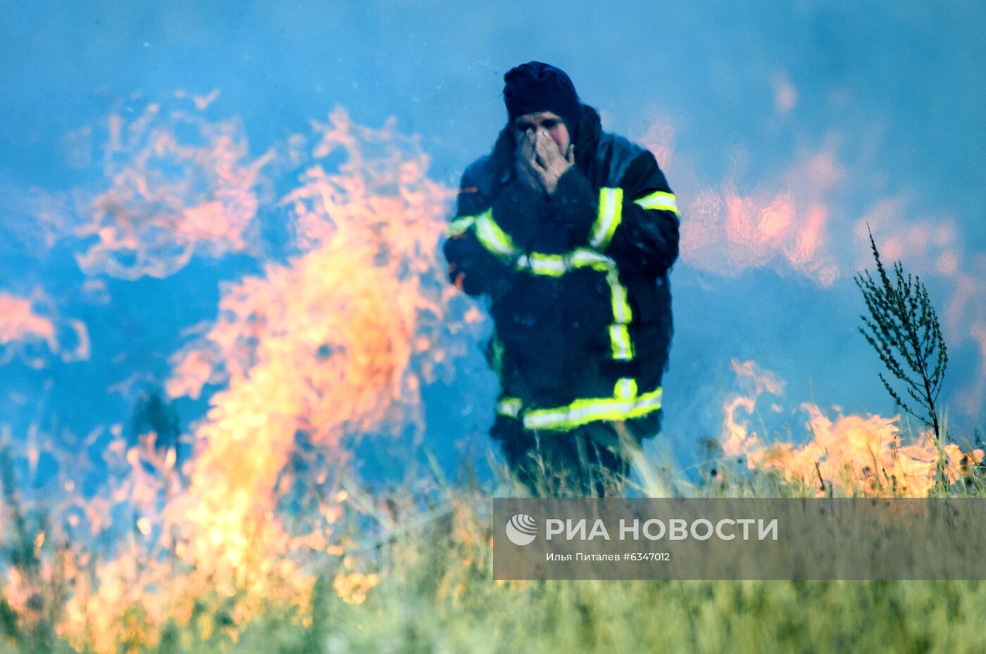 Природные пожары в Воронежской области