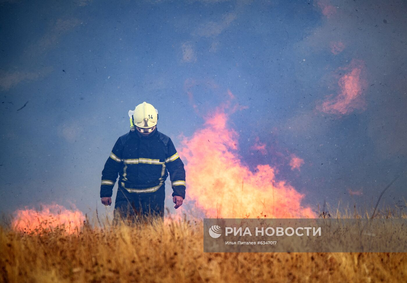 Природные пожары в Воронежской области