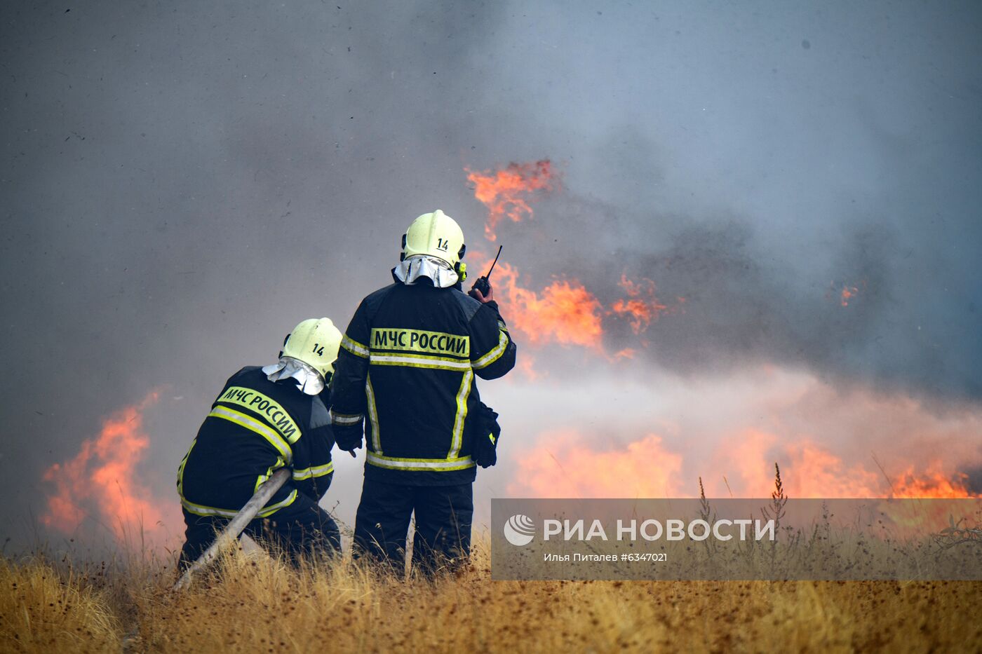 Природные пожары в Воронежской области