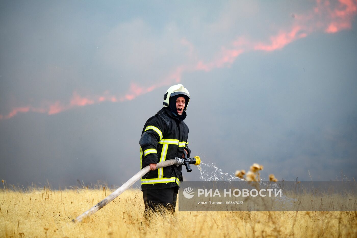 Природные пожары в Воронежской области