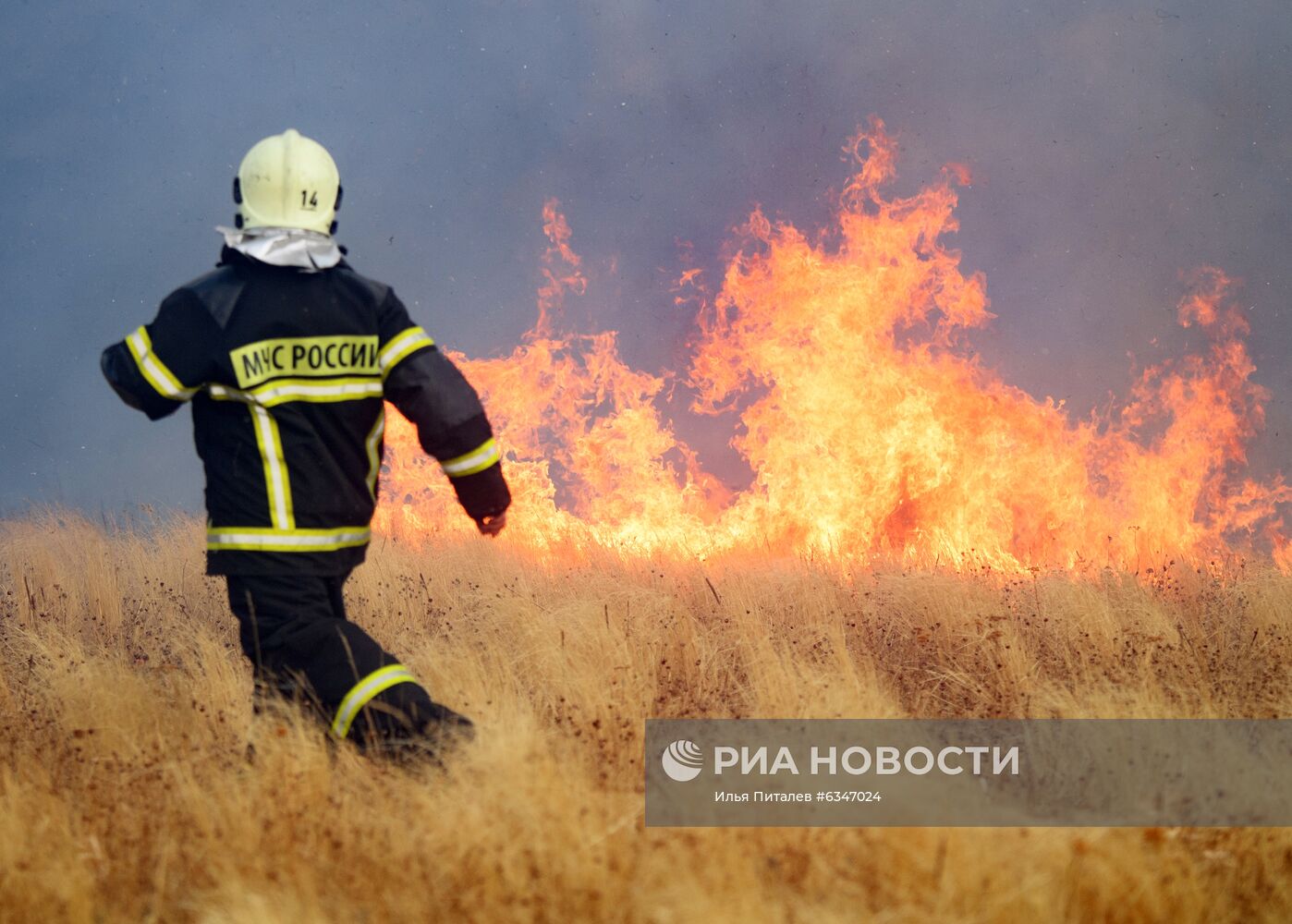 Природные пожары в Воронежской области