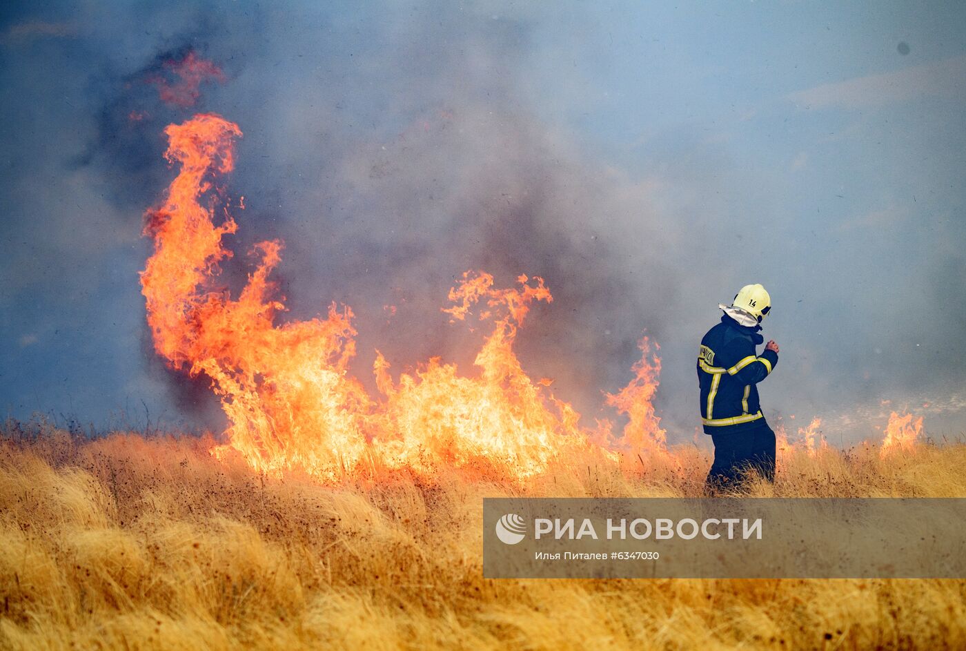 Природные пожары в Воронежской области