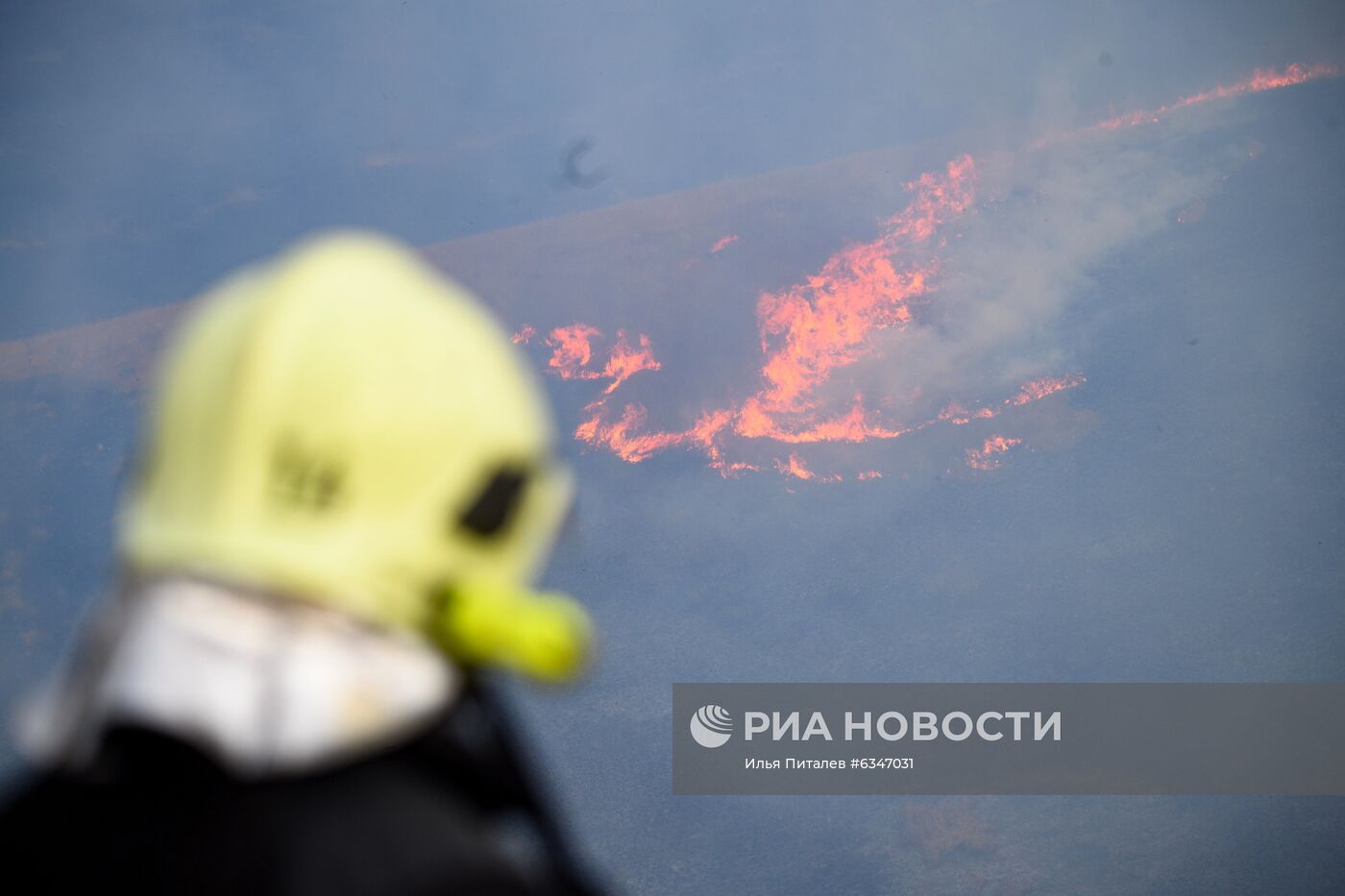 Природные пожары в Воронежской области