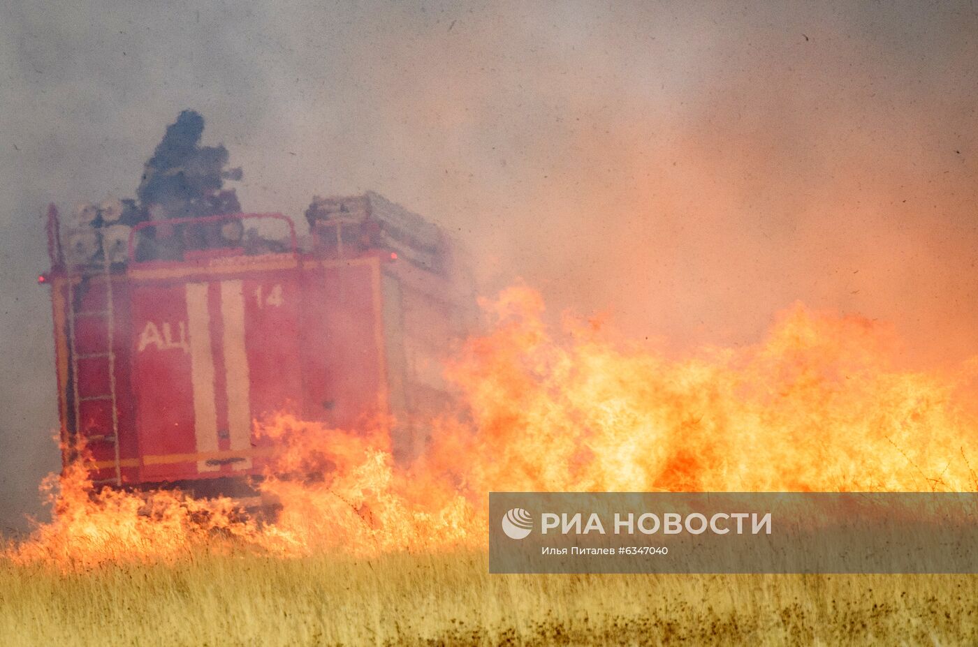 Природные пожары в Воронежской области