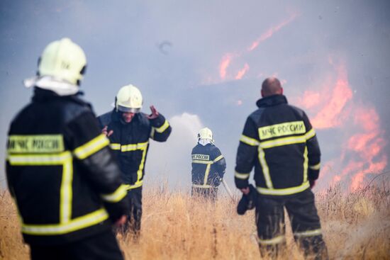 Природные пожары в Воронежской области