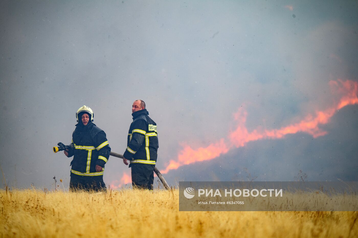 Природные пожары в Воронежской области