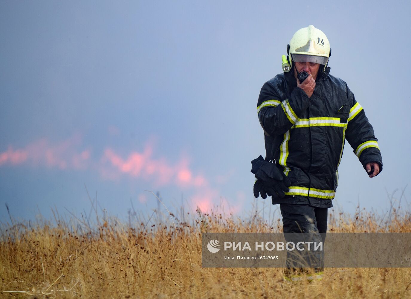 Природные пожары в Воронежской области