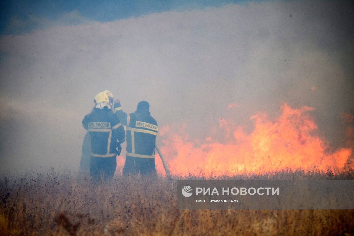 Природные пожары в Воронежской области