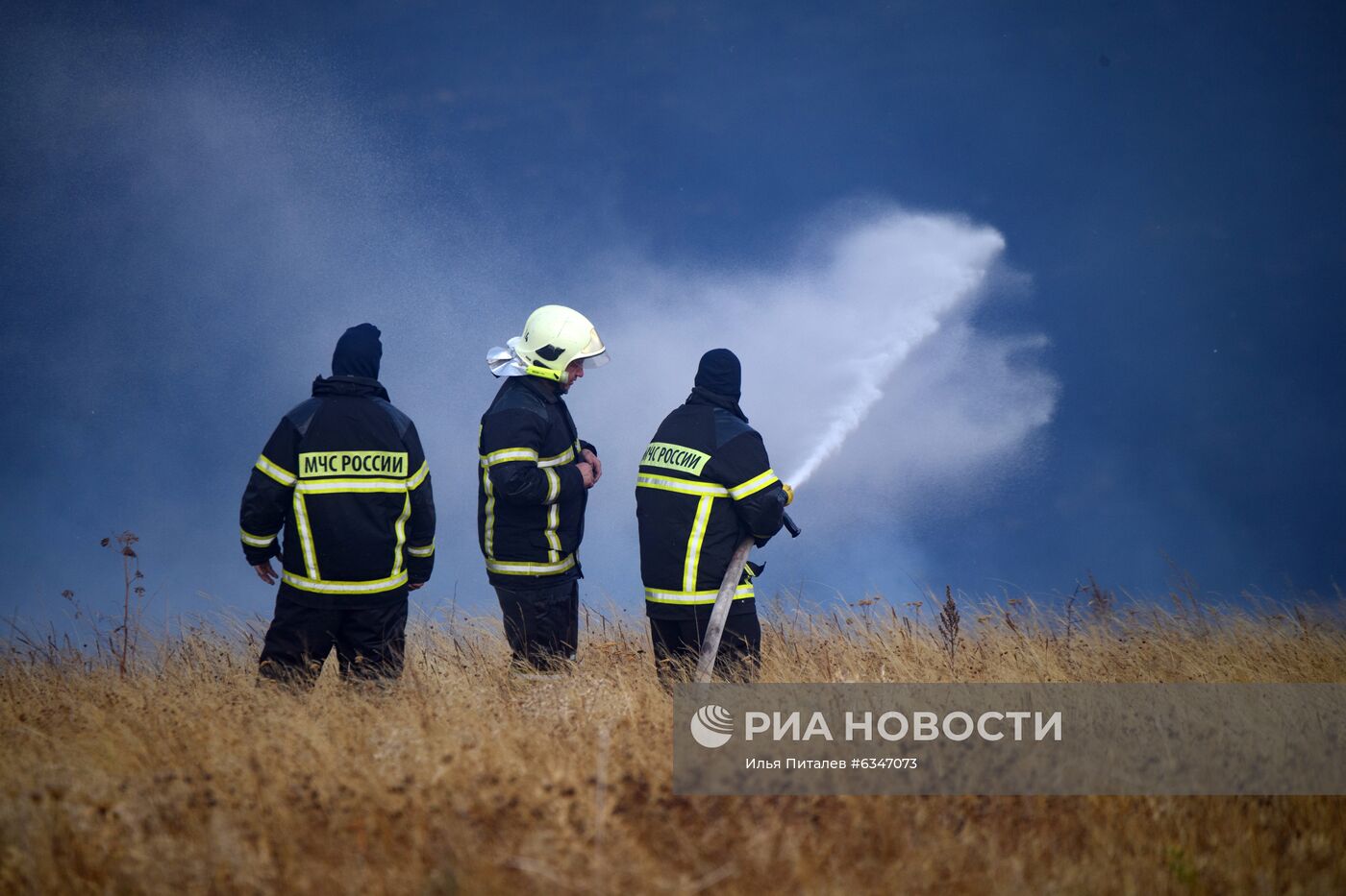 Природные пожары в Воронежской области