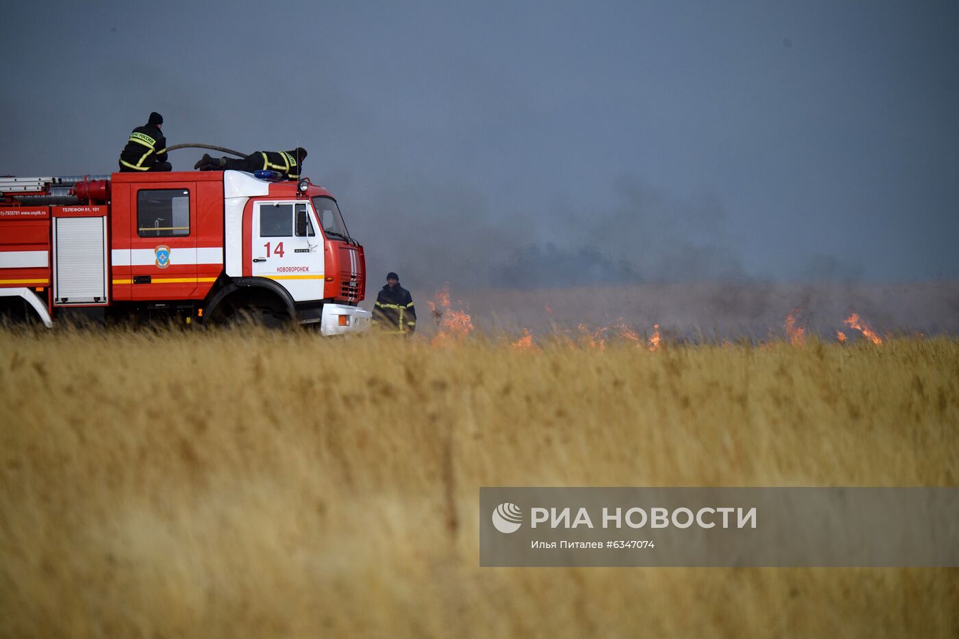 Природные пожары в Воронежской области