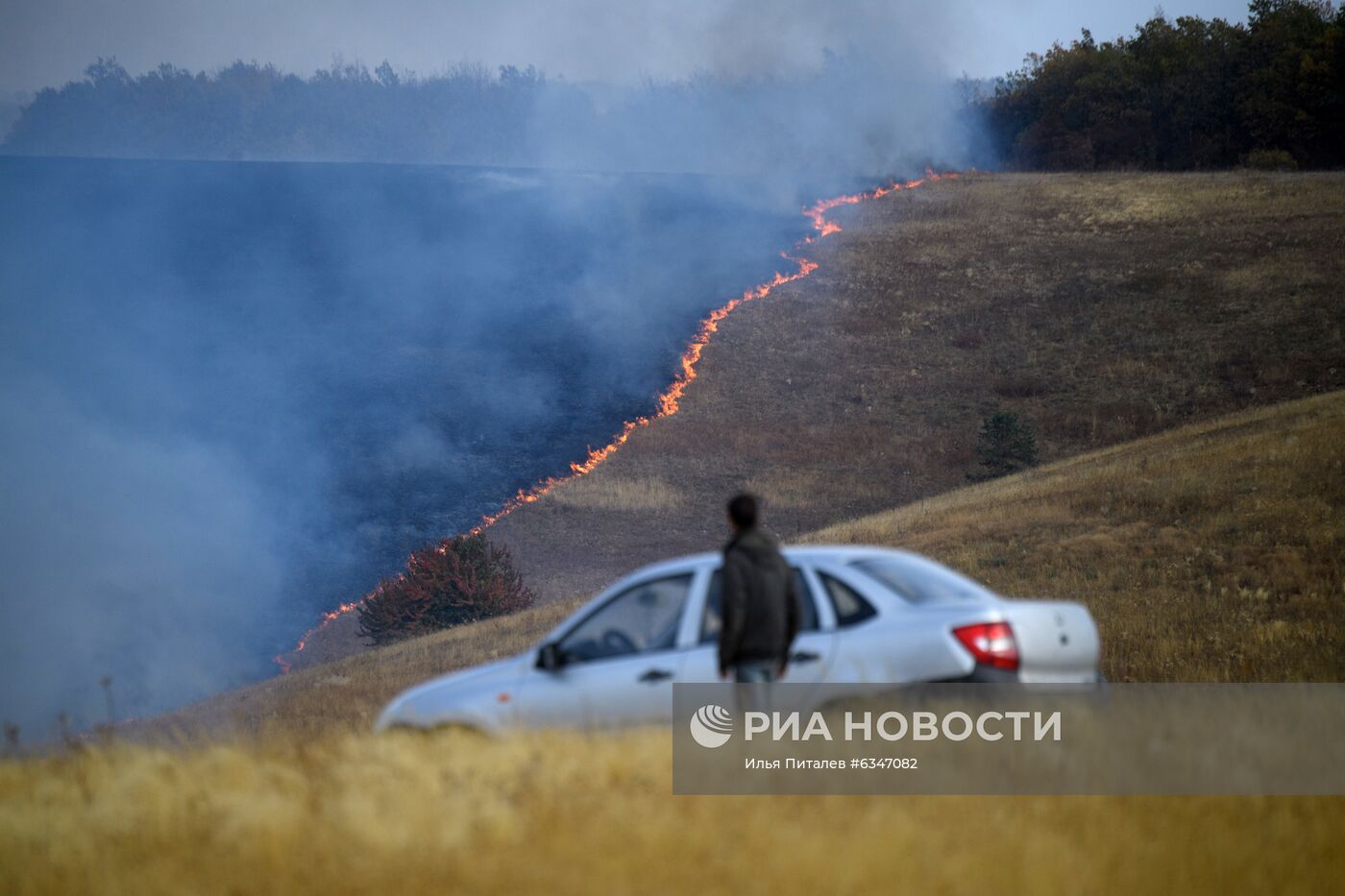 Природные пожары в Воронежской области