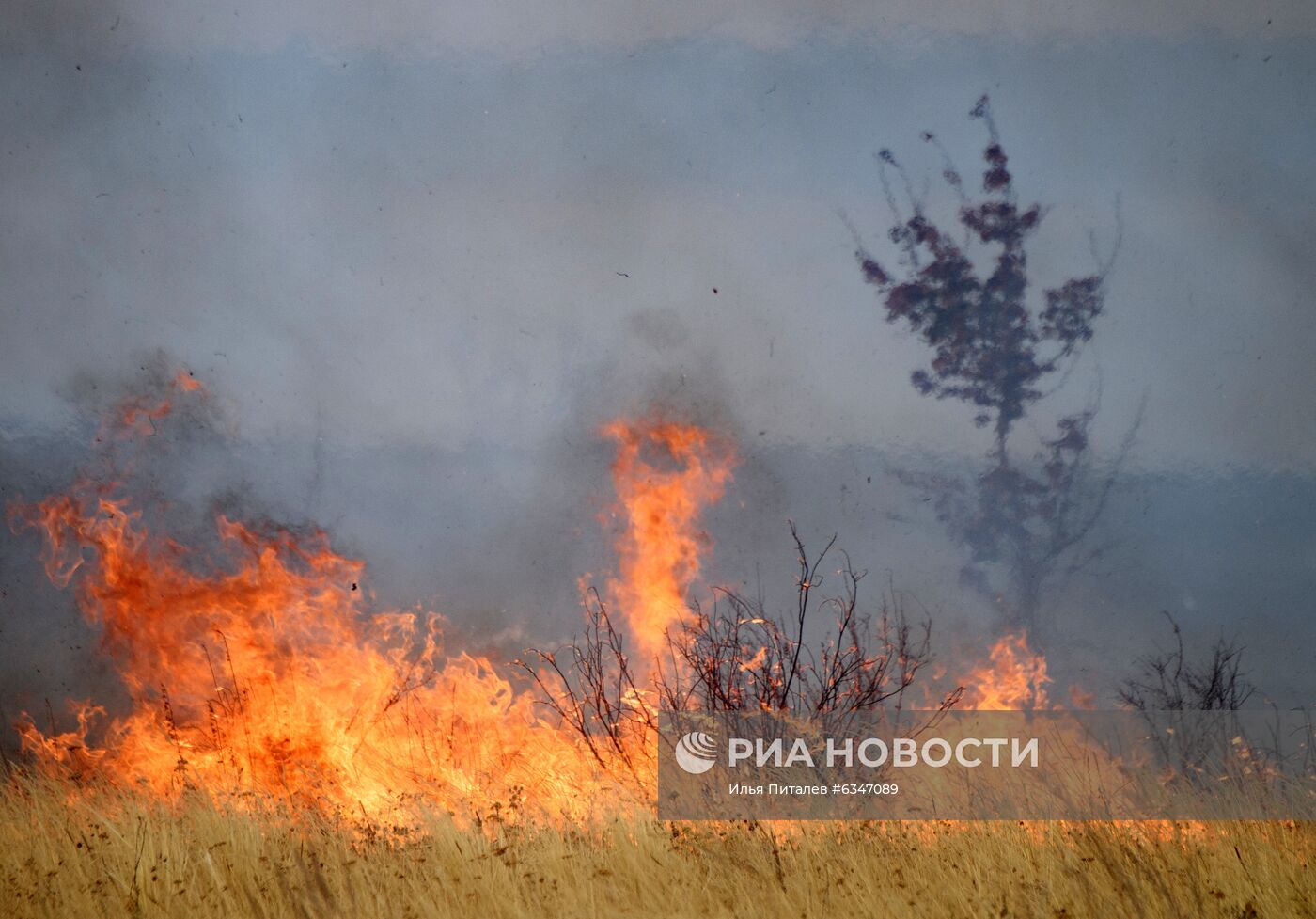 Природные пожары в Воронежской области