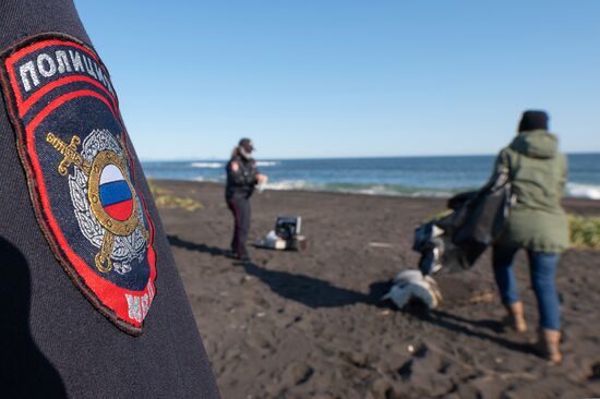 Полиция проверяет информацию о загрязнении воды и гибели морских животных на Камчатке