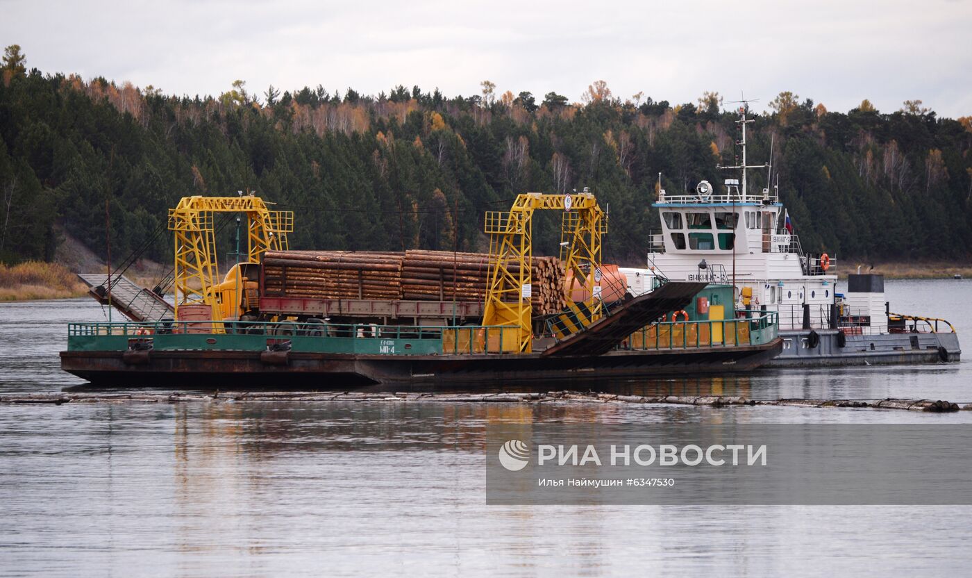 Экспорт необработанного леса из России планируется запретить