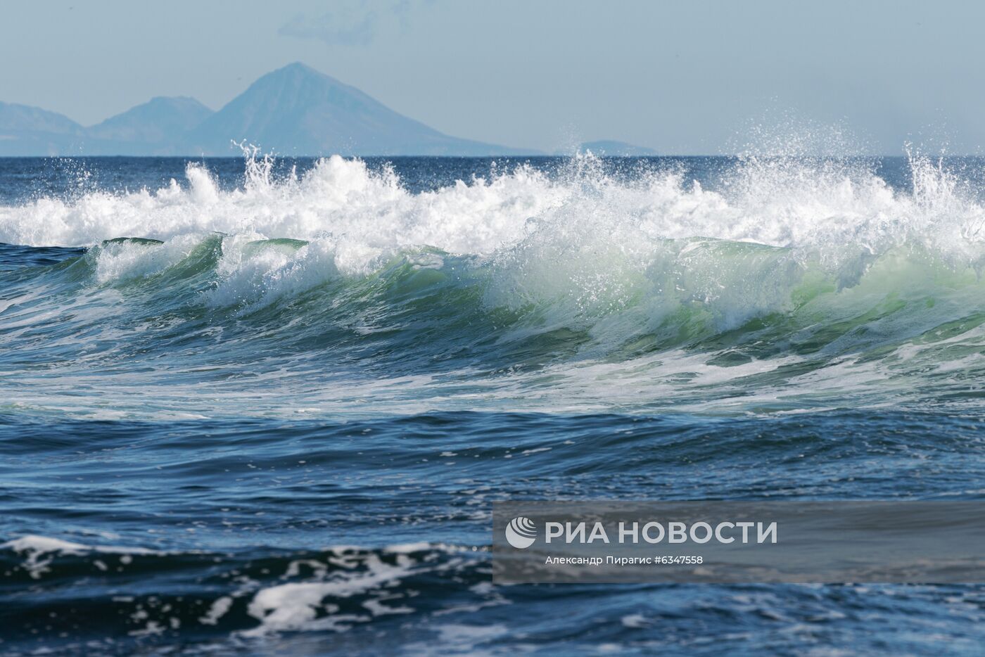 Полиция проверяет информацию о загрязнении воды и гибели морских животных на Камчатке