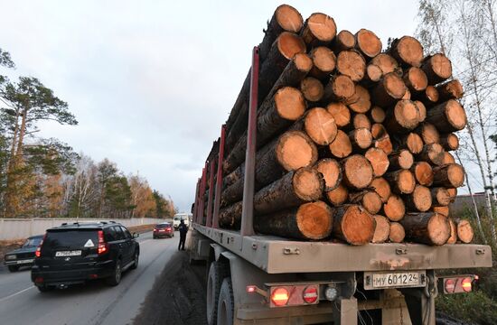 Экспорт необработанного леса из России планируется запретить