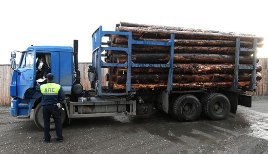 Экспорт необработанного леса из России планируется запретить