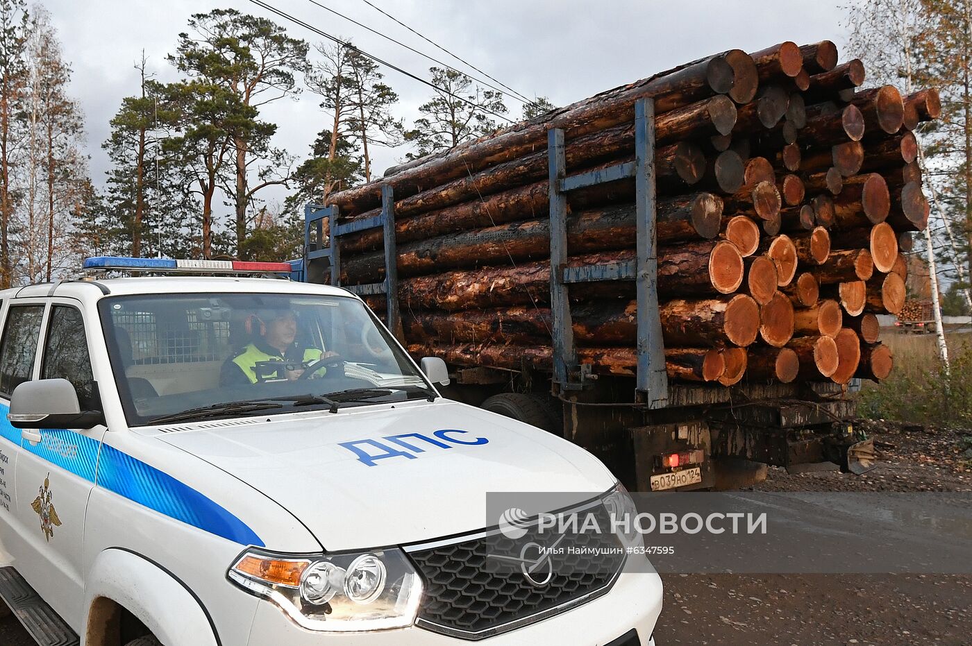 Экспорт необработанного леса из России планируется запретить