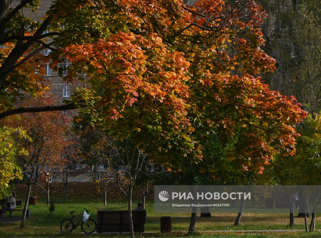 Осень в Москве