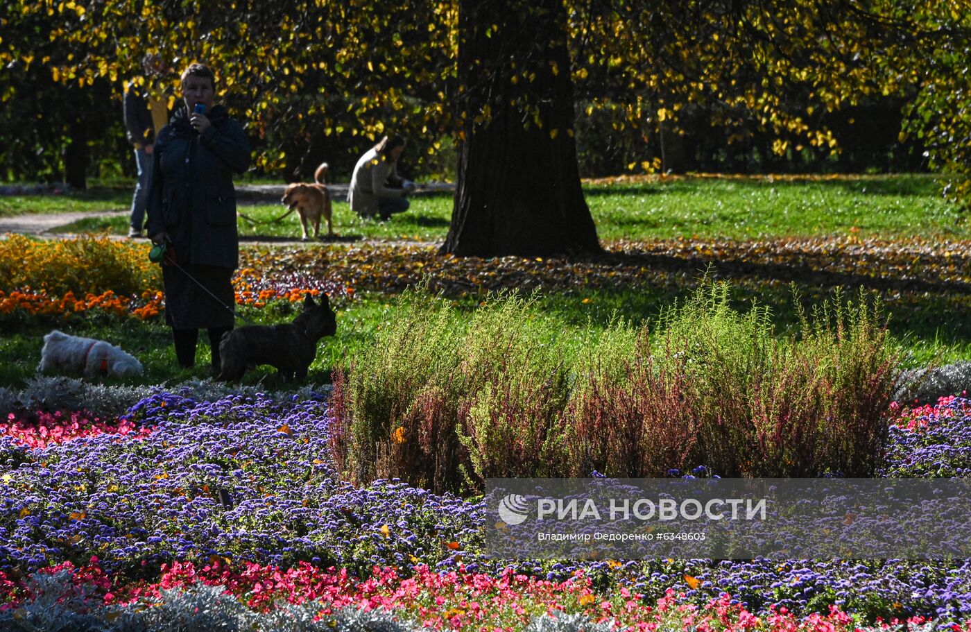 Теплая погода в Москве