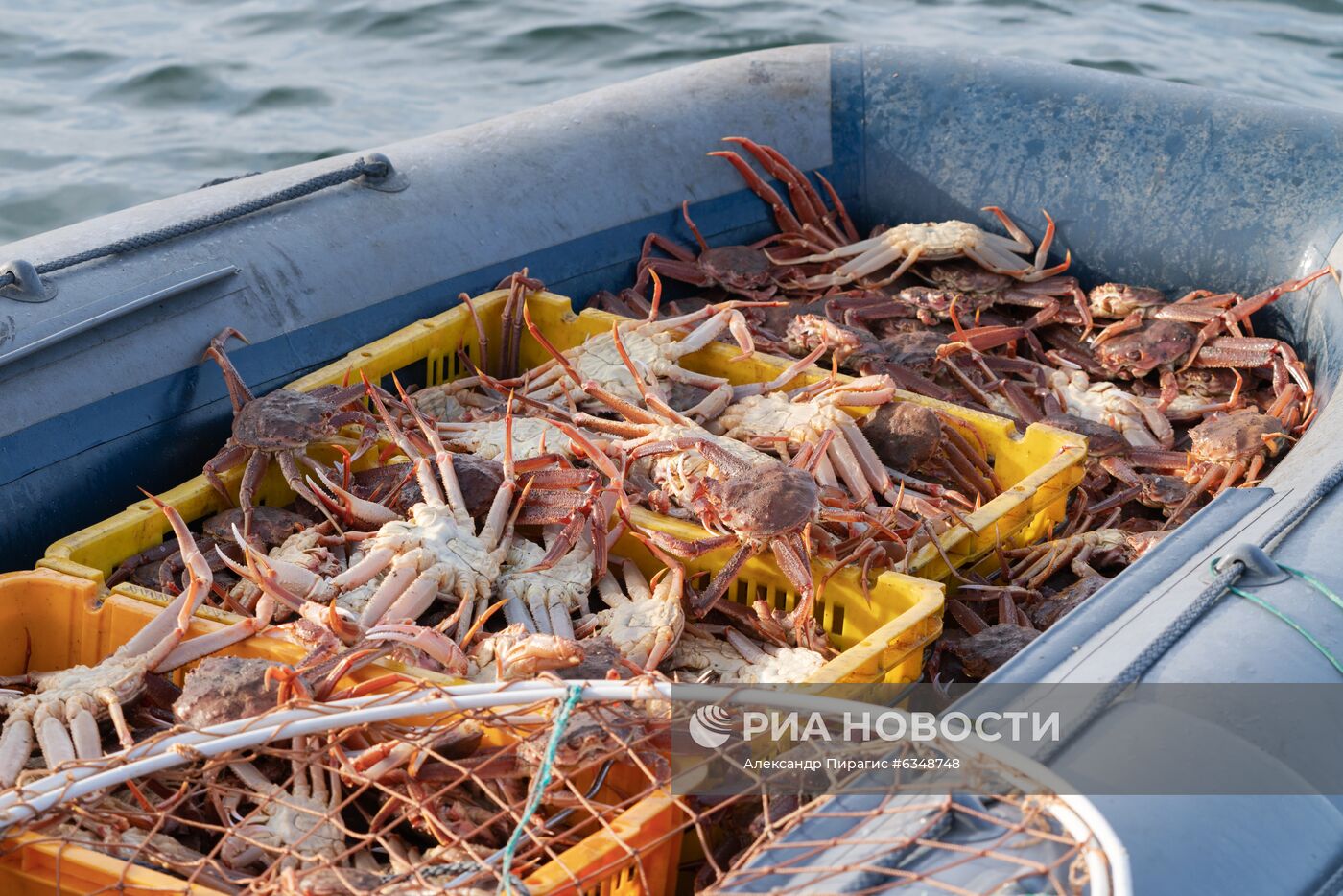 Рейд по берегу Авачинского залива на Камчатке